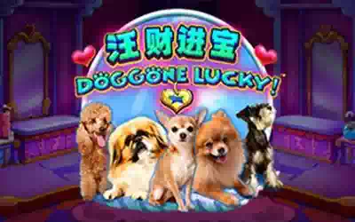 Doggone Lucky