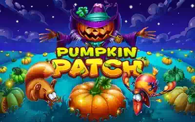 Pumpkin Patch