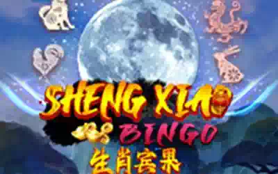 Sheng Xiao Bingo