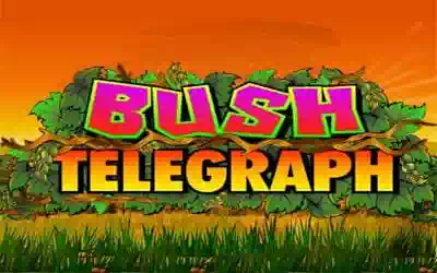 Bush Telegraph