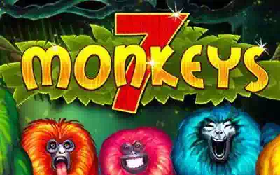 7 Monkeys JP