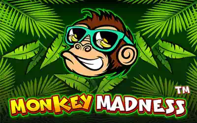 Monkey Madness